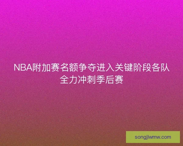 NBA附加赛名额争夺进入关键阶段各队全力冲刺季后赛