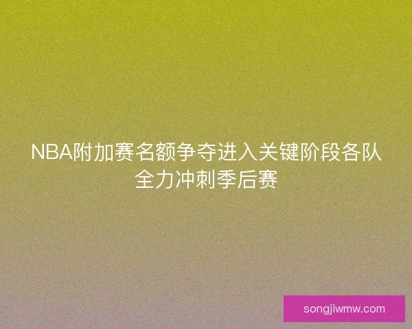 NBA附加赛名额争夺进入关键阶段各队全力冲刺季后赛